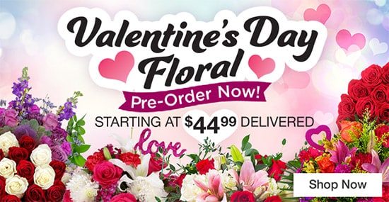Valentine's Day Floral Pre-Order Now! Starting at $44.99 Delivered Shop Now