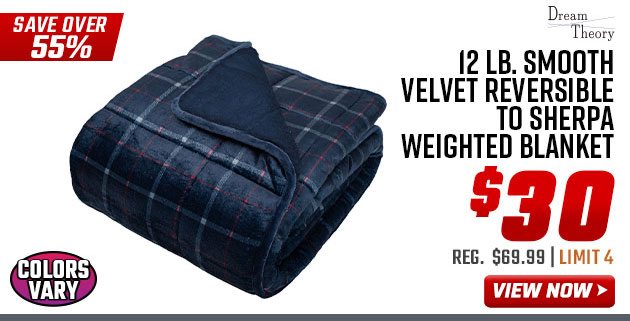 Dream Theory 12 lb. Smooth Velvet Reversible to Sherpa Weighted Blanket