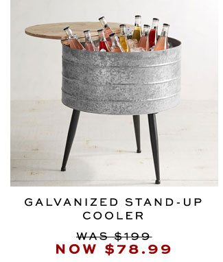 GALVANIZED STAND-UP COOLER