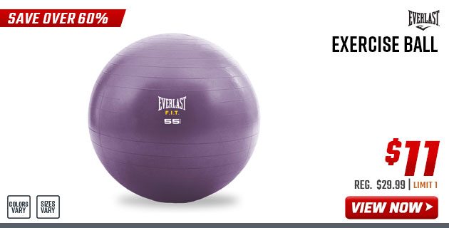EVERLAST Exercise Ball