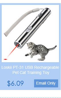Loskii PT-31 USB Rechargeable Pet Toys Cat Training Toy Laser Pointer