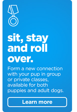 Sit, stay and roll over. From a new connection with your pup in group or private classes, available for both puppies and adult dogs. Learn more >