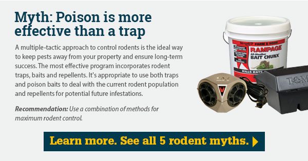 Myth: Poison is more effective than a trap