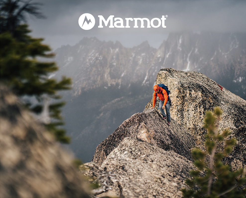 Marmot