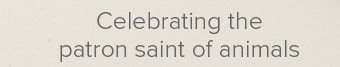 Celebrating the patron of animals