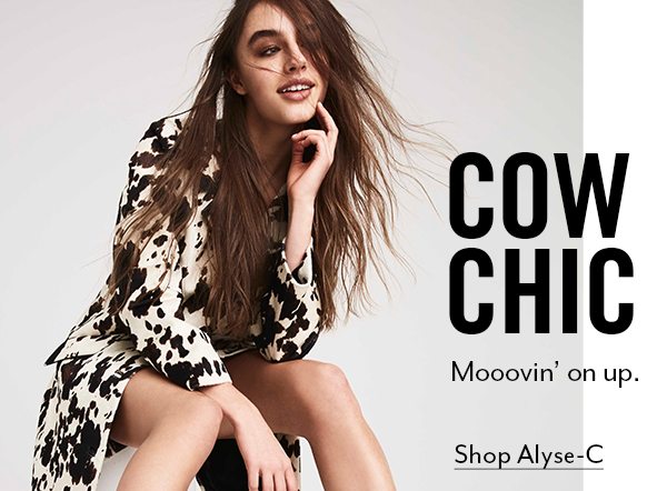Cow Chic