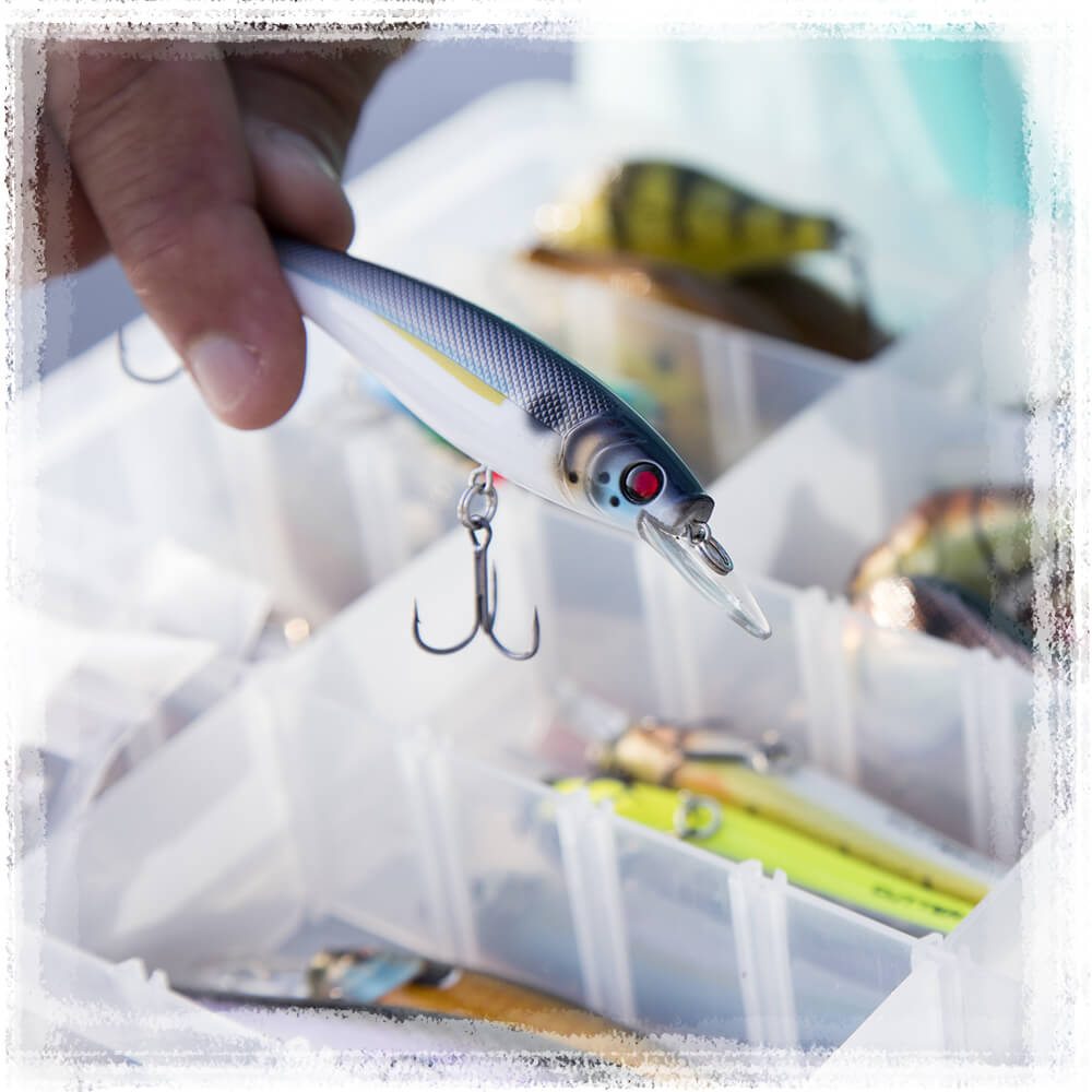 Save 20% on today's in-stock Hard Bait purchase!