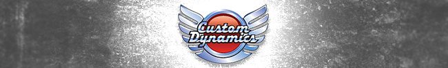 CustomDynamics