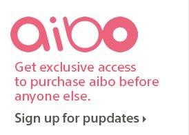 Get exclusive access to purchase aibo before anyone else. | Sign up for pupdates