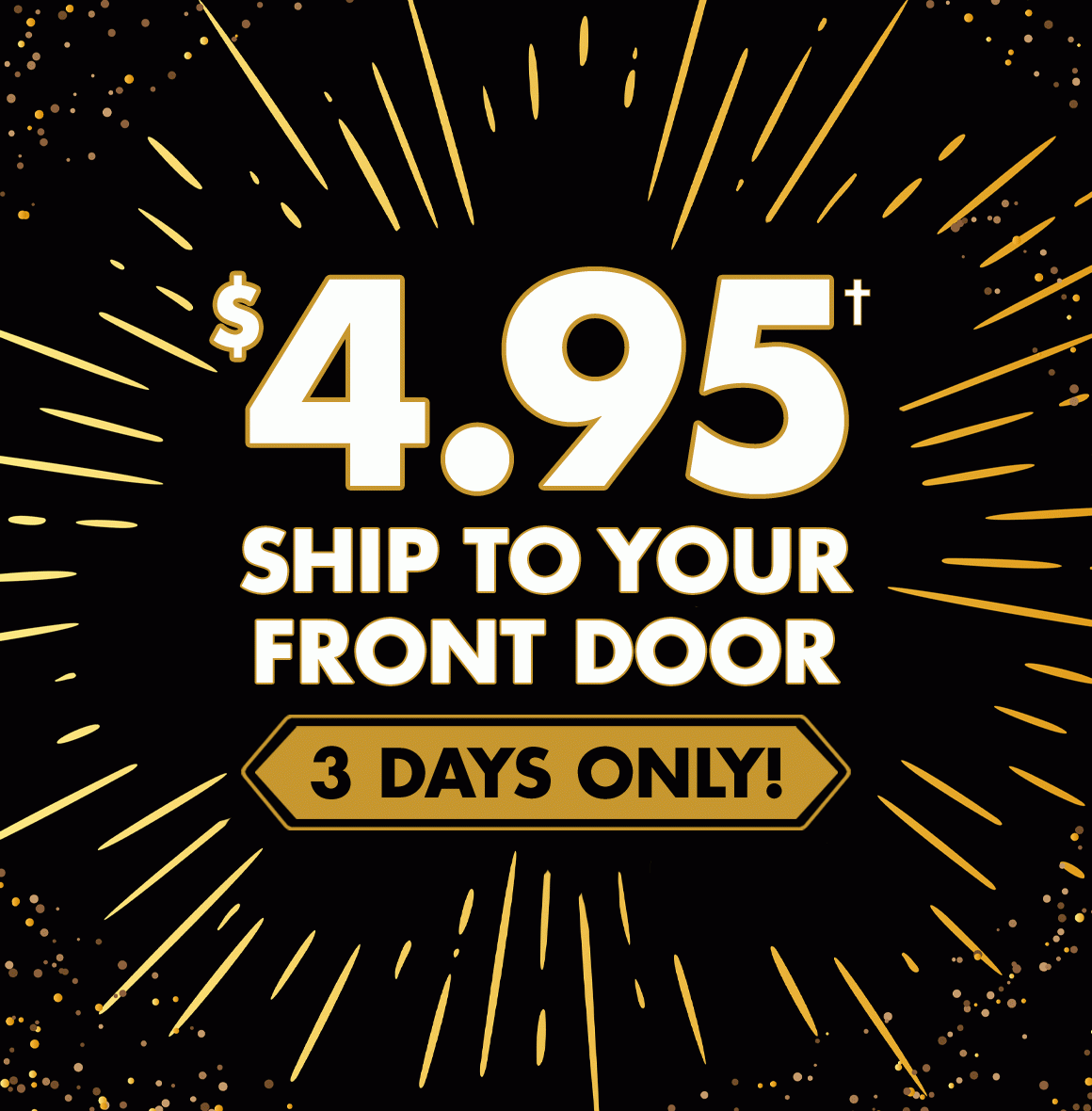 Enjoy 3 Days of Discounted Shipping!