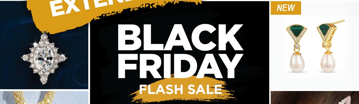 Black Friday Flash Sale