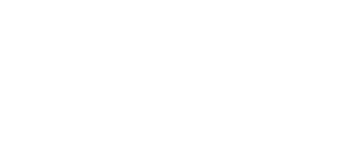 20% off EVERYTHING