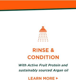 RINSE AND CONDITION - With Active Fruit Protein and sustainably sourced Argan oil - LEARN MORE >