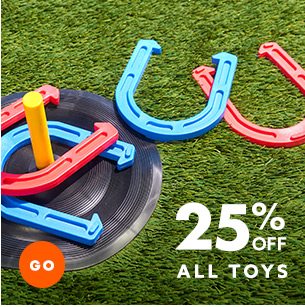 25% Off All Toys