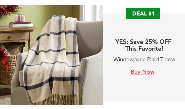 Deal #1 YES: Save 25% OFF This Favorite! Windowpane Plaid Throw Buy Now