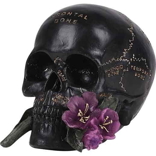 Image of Black Anatomy Skull with Flower Statue