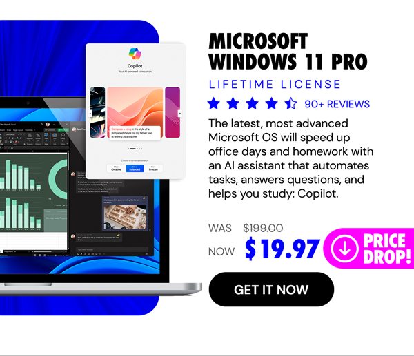 Microsoft Windows 11 Pro