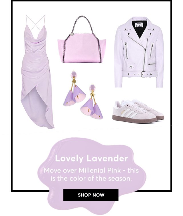 Shop Lavender