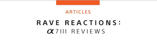 ARTICLES | RAVE REACTIONS: Alpha 7III REVIEWS