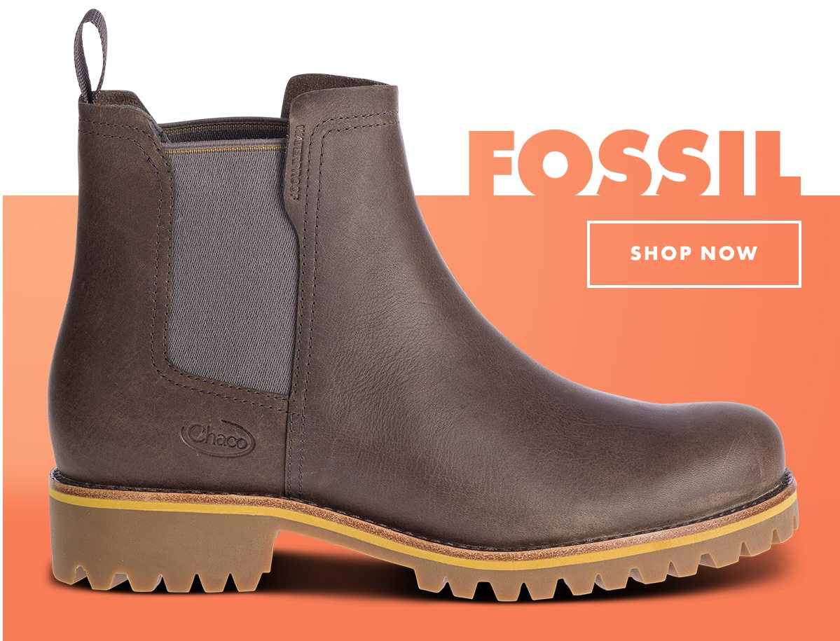 SHOP FIELDS - FOSSIL - IMG