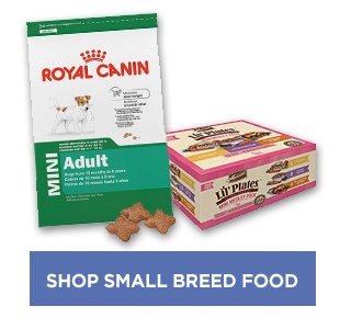 Shop small breed food.