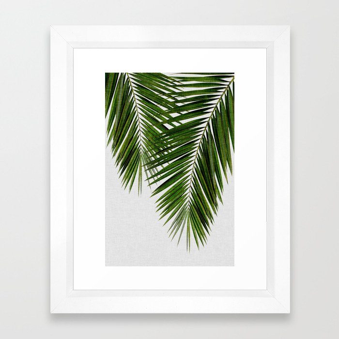 Palm Leaf II