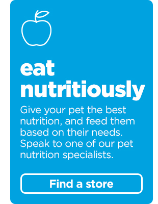 Give your pet the best nutrition. Find a store > 