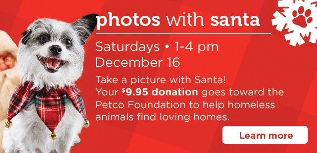 Photos with santa. Saturdays 1 - 4pm. December 16. Take a picture with Santa! Your $9.95 donation goes toward the Petco Foundation to help homeless animals find loving homes. Learn more >