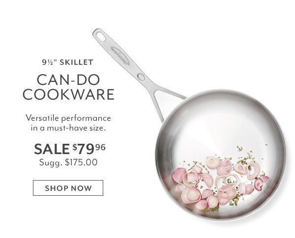 9.5 inch skillet