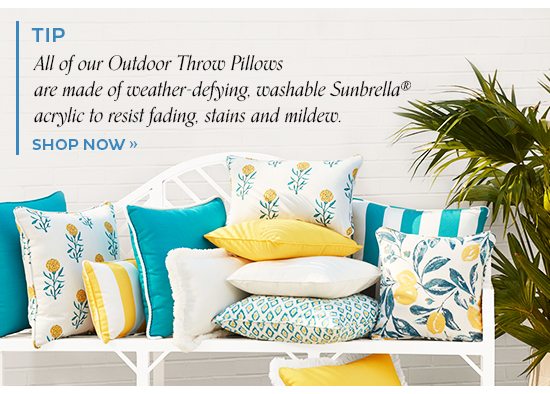 Shop Indoor\Outdoor Pillows