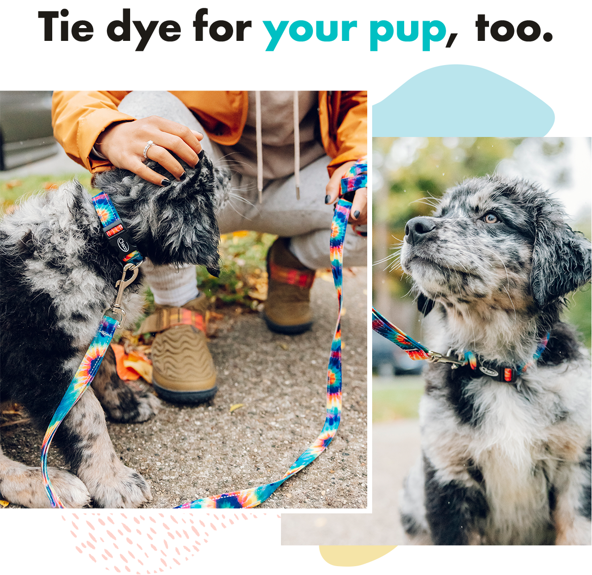 Tie dye for your pup, too.