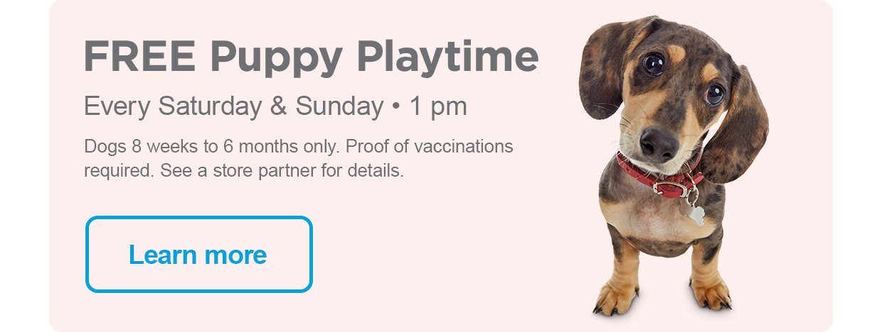 FREE Puppy Playtime. Every Saturday & Sunday • 1 pm. Dogs 8 weeks to 6 months only. Proof of vaccinations required. See a store partner for details. Learn more.