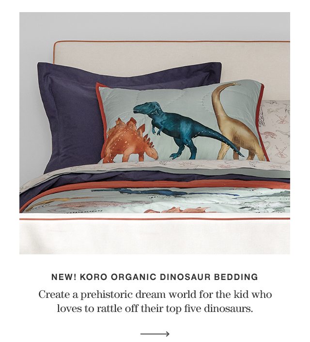 Koro Organic Dinosaur Kids Bedding Set