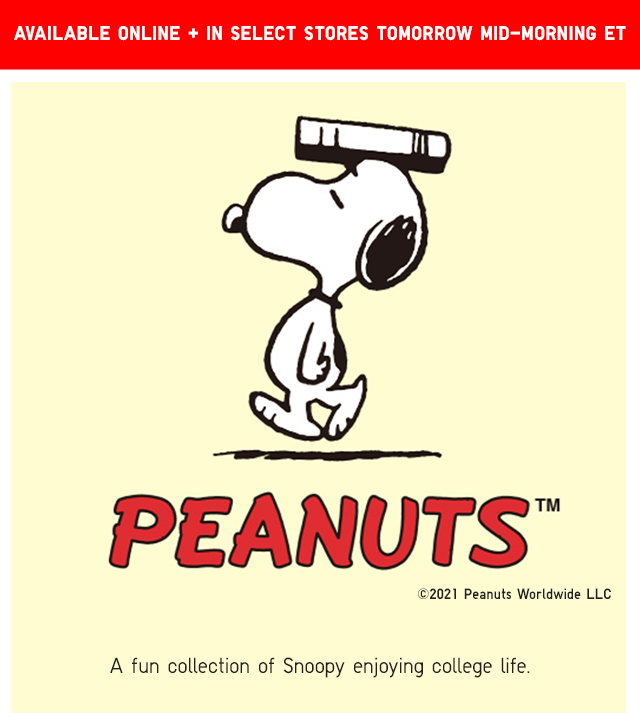 BANNER3 - PEANUTS