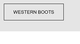 WESTERN BOOTS