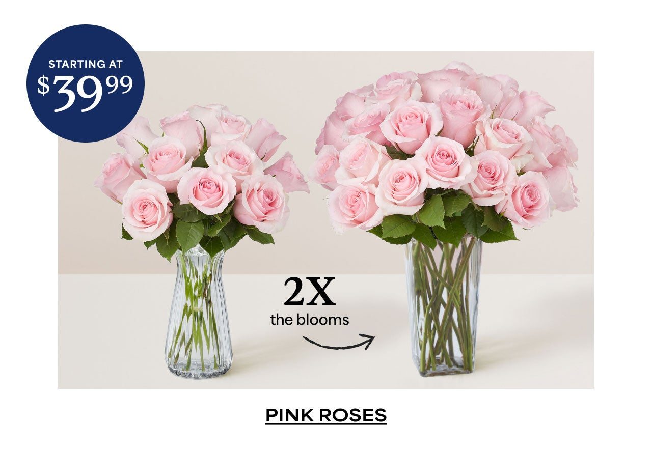 2x the Blooms | Pink Roses