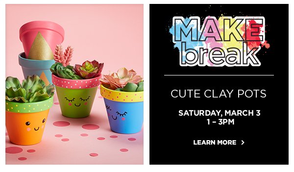 MAKEbreak: Cute Clay Pots