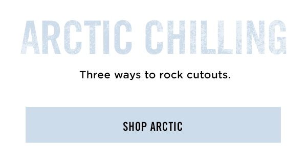 Arctic Chill, Shop Arctic