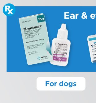 Ear & eye care. For dogs.