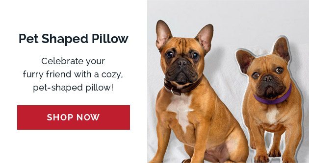 Pet Shaped Pillow