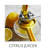 Citrus Juicer