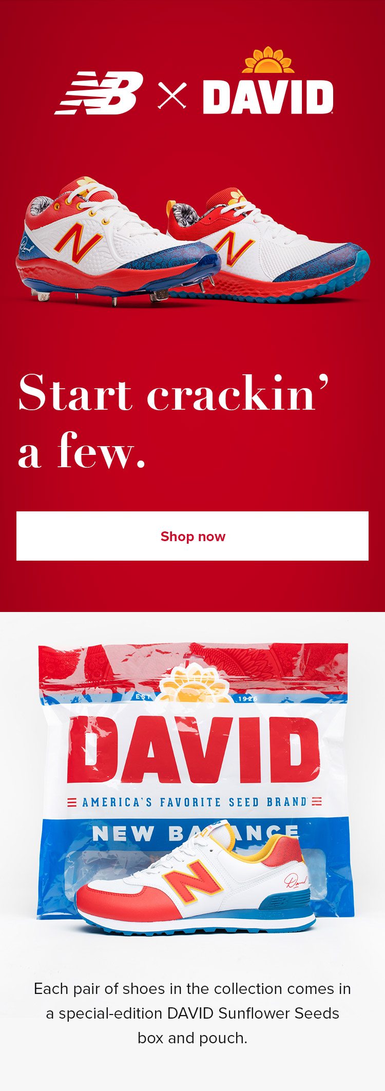 Shop NB x David