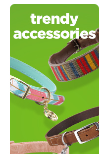 Shop collars >