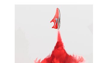 Nike Pegasus