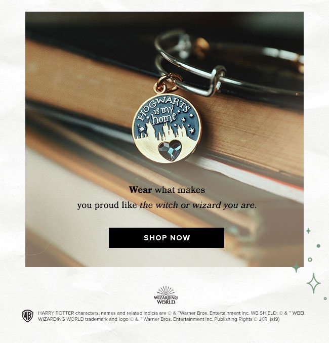 Shop the newest Harry Potter Bangle of the Month before it disappears.