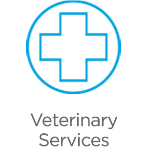 Veterinary services.