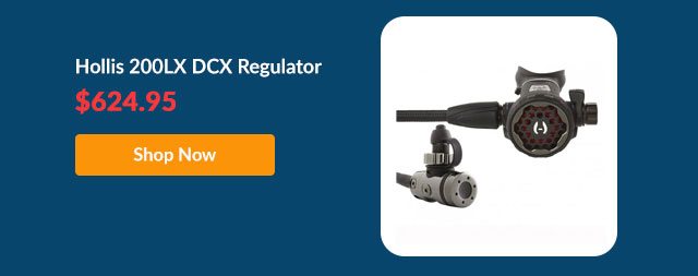 Hollis 200LX DCX Regulator - Shop Now