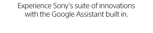 Experience Sony's suite of innovations with the Google Assistant built in.