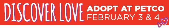 Adopt At Petco