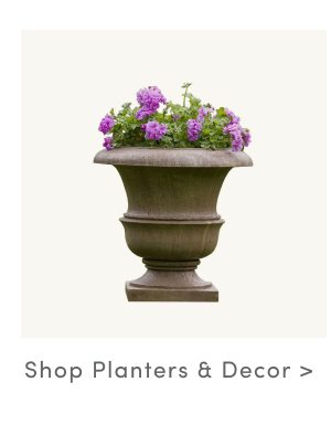 Shop Planters and Decor